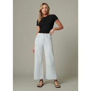 Joe's Jeans The Mia High Rise Wide Leg Ankle Jeans RAIL ROAD Stripe NWT VARIOUS